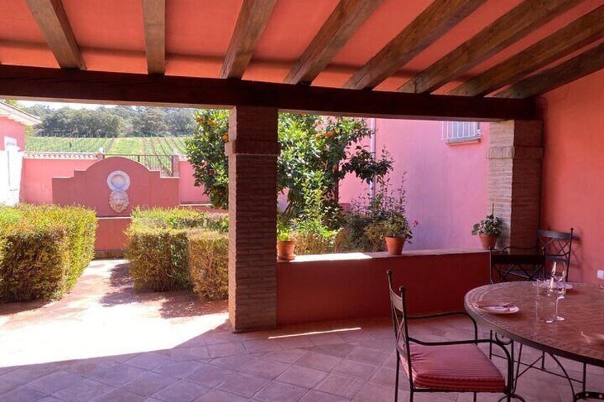 Tasting terrace overlooking the vineyards