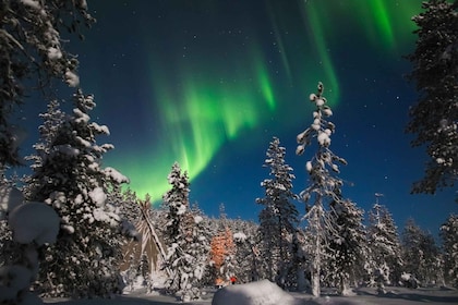 Saariselkä: Northern Lights Hunting Snowshoe Trip