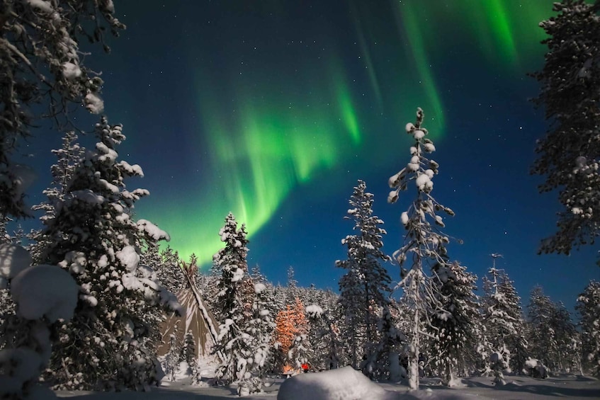 Saariselkä: Northern Lights Hunting Snowshoe Trip