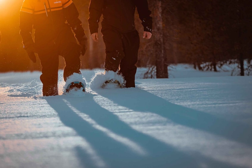 Picture 3 for Activity Saariselkä: Northern Lights Hunting Snowshoe Trip