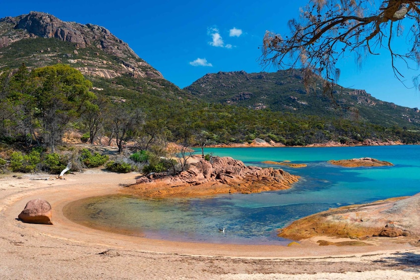 Picture 4 for Activity Wineglass Bay & Freycinet National Park Day Trip from Hobart