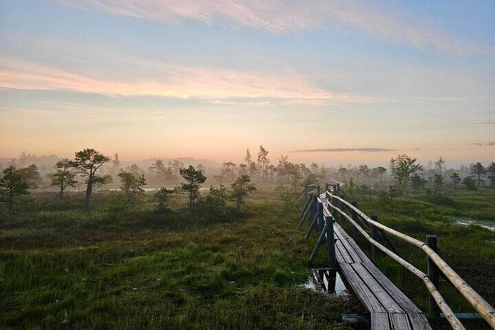 Ķemeri Great Bog Discovery With Optional Sunrise & Jūrmala Visit