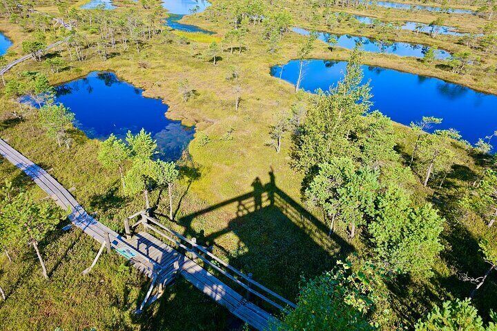 Ķemeri Great Bog Discovery With Optional Sunrise & Jūrmala Visit