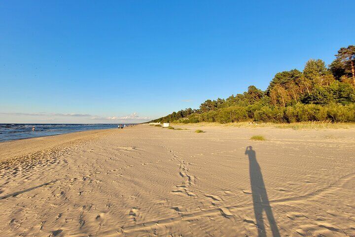 Ķemeri Great Bog Discovery With Optional Sunrise & Jūrmala Visit