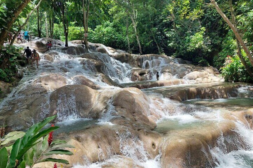 Dunn's River Falls And Blue Hole Private Tour From Ocho Rios