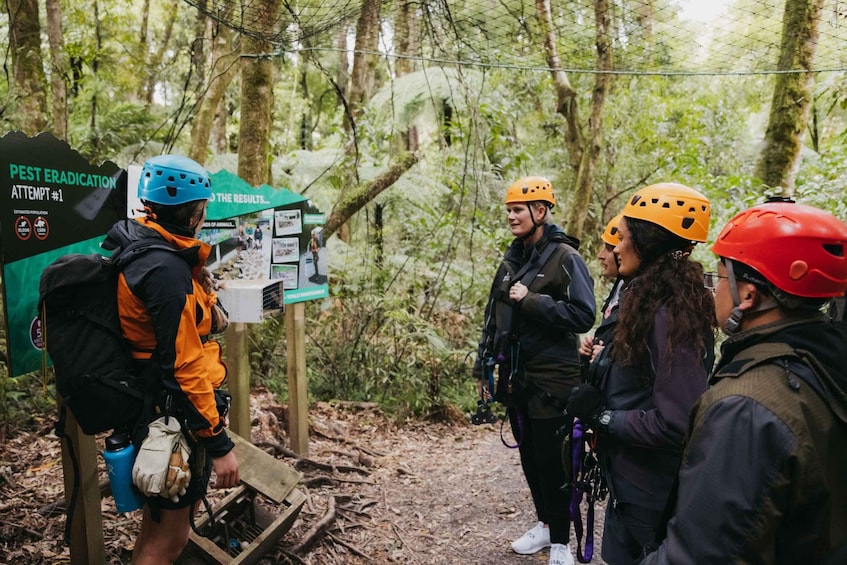 Picture 16 for Activity Rotorua: Guided Zipline Adventure Tour with Photos