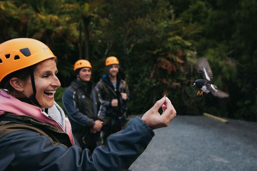 Picture 1 for Activity Rotorua: Guided Zipline Adventure Tour with Photos