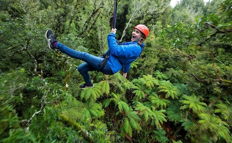 Rotorua: Rotorua: Opastettu Zipline-seikkailukierros valokuvineen