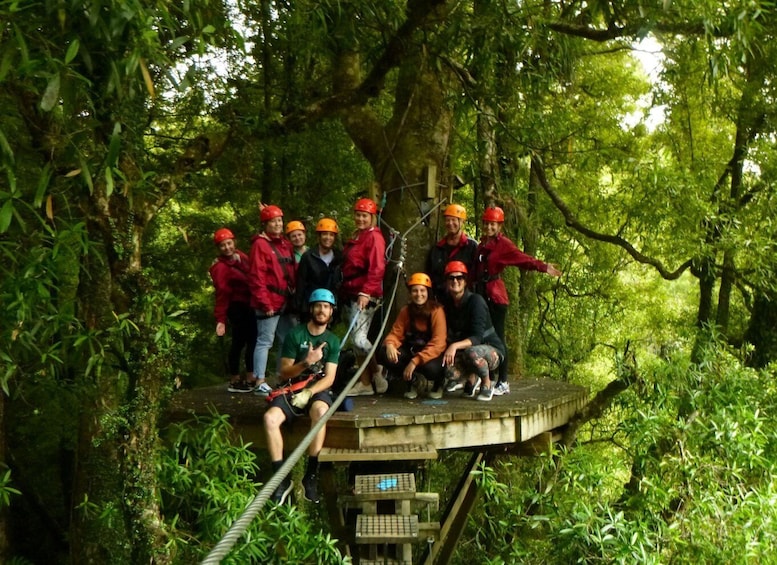 Picture 4 for Activity Rotorua Forest 3-Hour Zipline Canopy Tour