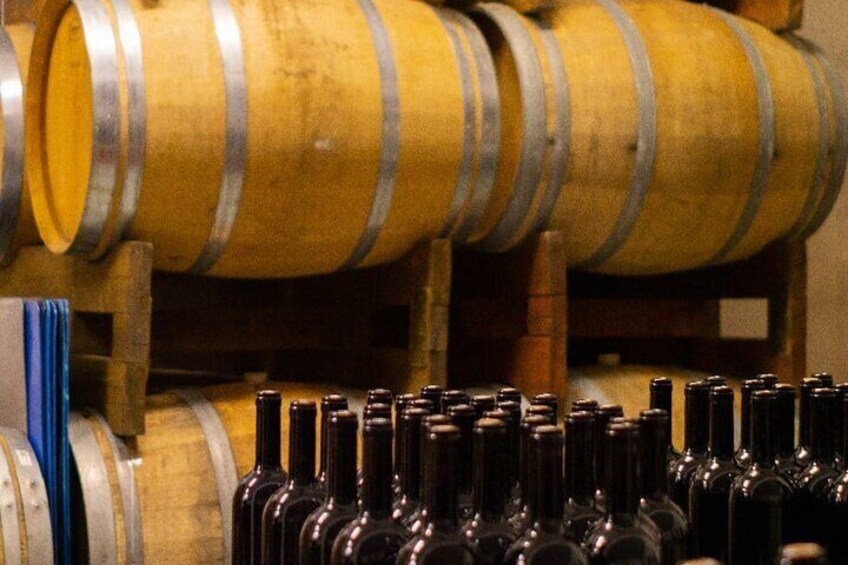 Tasting of 4 Valtenesi wines with local food in Salò