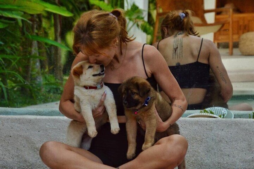 Puppy Yoga Experience in Bali