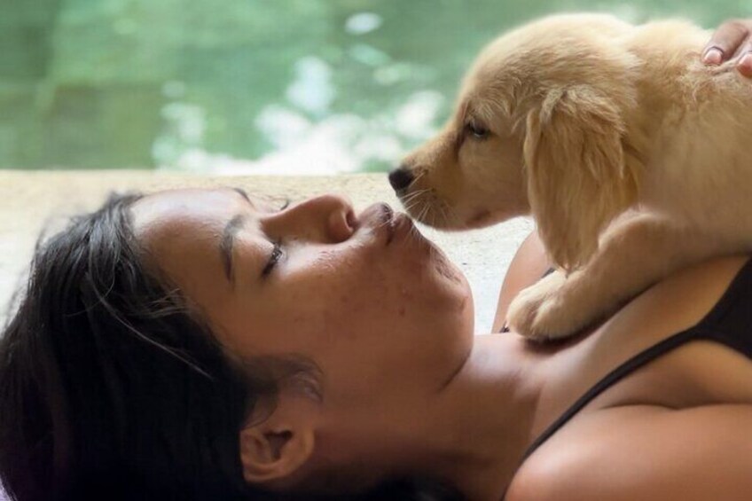 Puppy Yoga Experience in Bali