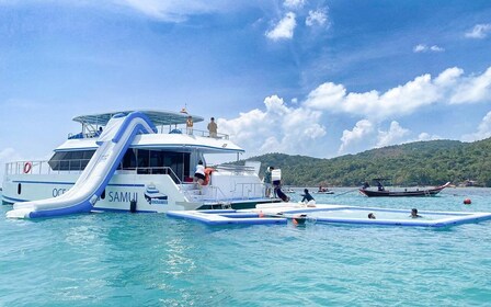 Koh Samui: Dolphin and 3-Island Power Speed Catamaran Tour