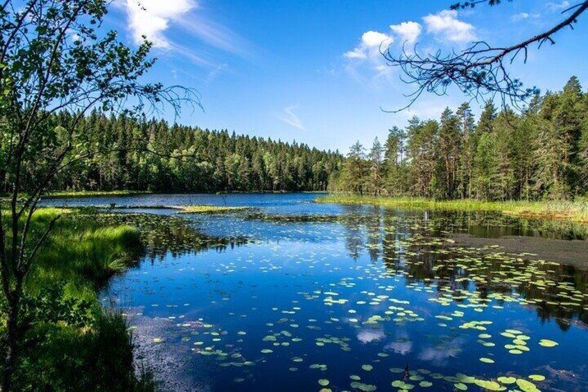 Nuuksio National Park Hiking Experience from Helsinki