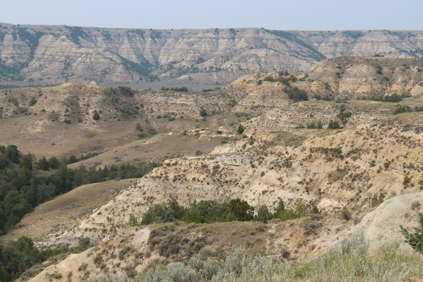 Theodore Roosevelt National Park Self-Guided Driving Tour