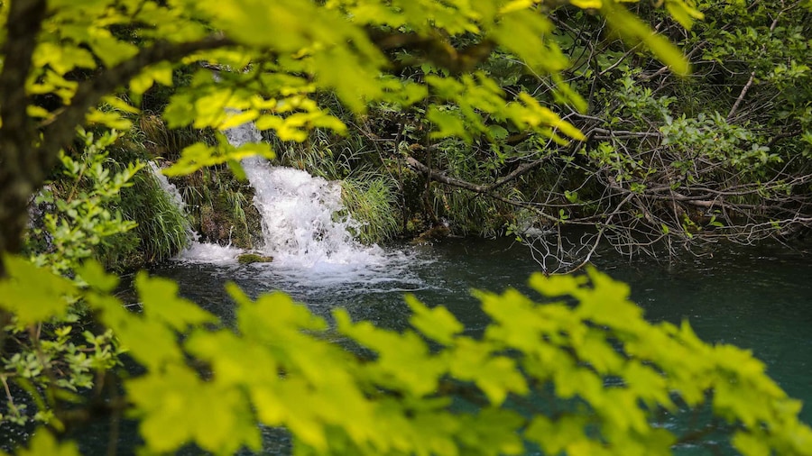 Plitvice Lakes from Zadar: Round-Trip Transfer