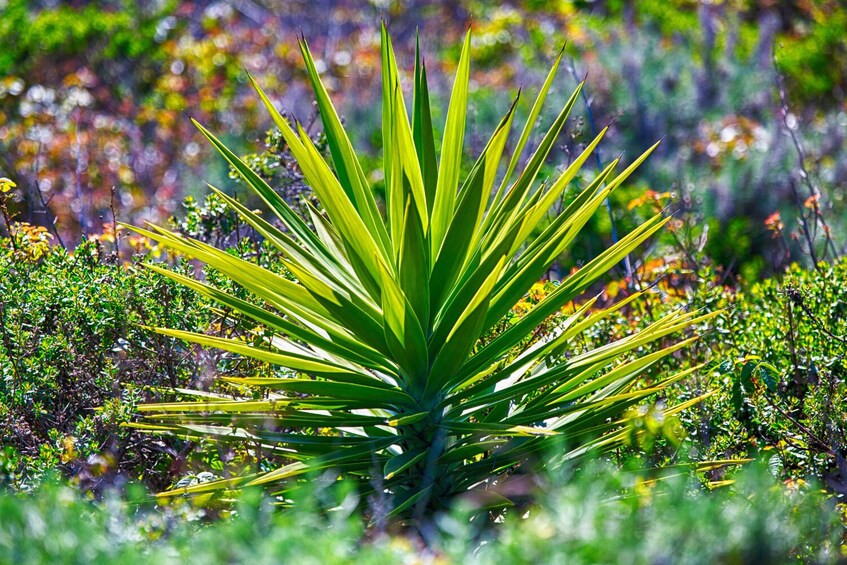 Rocky Mountain NP & Garden of Gods Self-Guided Driving Tour