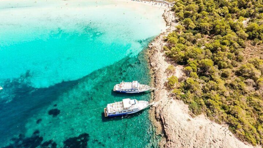 Half-day experience of the unspoilt coves of southern Menorca