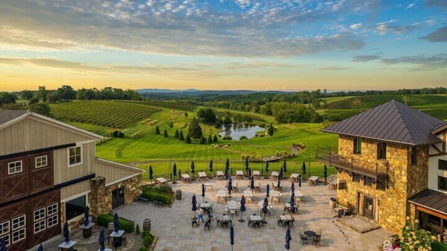Luxury Wine Tour in Washington DC to Loudoun County Vineyards