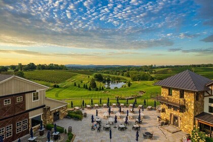 Luxury Wine Tour in Washington DC to Loudoun County Vineyards