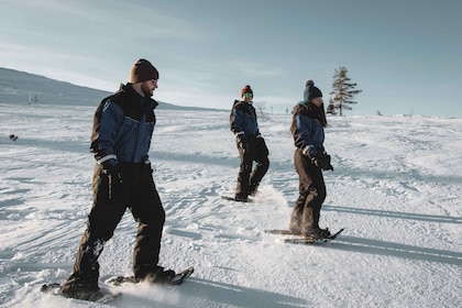 Saariselkä: Scenic Snowshoe Safari