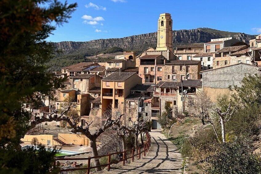 Full Day Guided Experience in Priorat