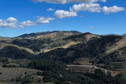 Full Day Guided Experience in Priorat