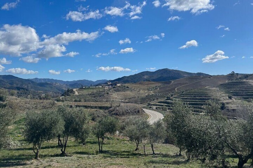 Full Day Guided Experience in Priorat