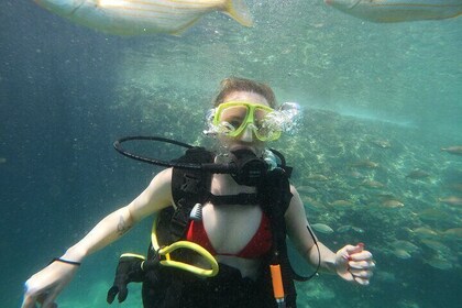 Experience Shared Scuba Diving in Antalya