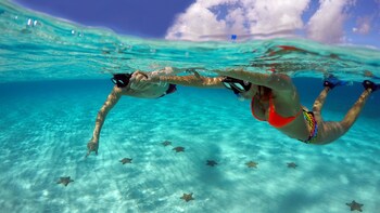 Cozumel Snorkel Two Reefs & Playa Mia
