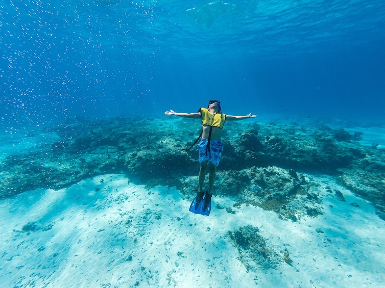 Cozumel Snorkel Two Reefs & Playa Mia