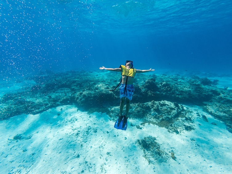 Cozumel Snorkel Two Reefs & Playa Mia 