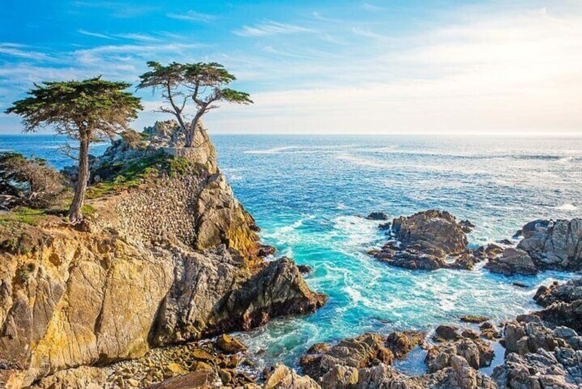 Carmel Tour in The Heavenly 17 Mile Drive
