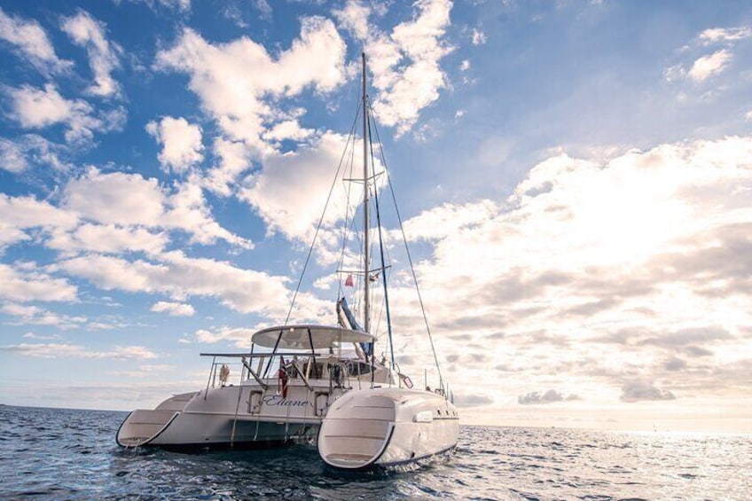 Private Sailing Catamaran Charter with lunch and drinks