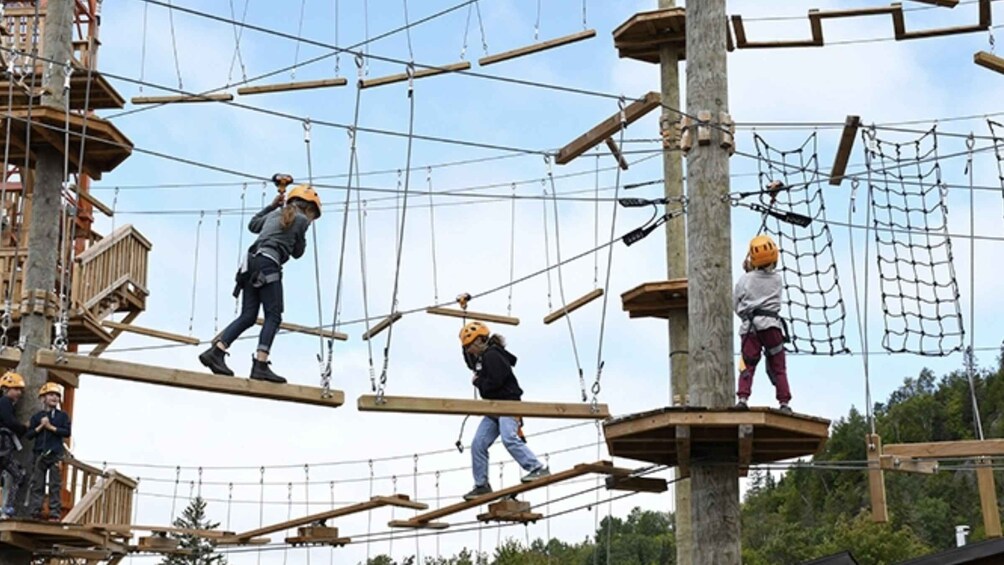 Picture 1 for Activity Tyroparc: La Cité des Bois Obstacle Course in Laurentians