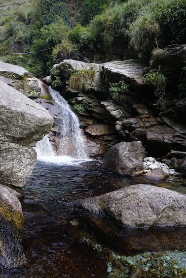 Picture 3 for Activity Secret Waterfall In McLeodGanj