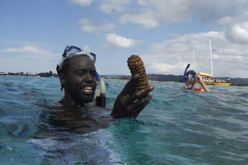 Incredible Negril Guided Reef Snorkeling To An Anchor and Cannon