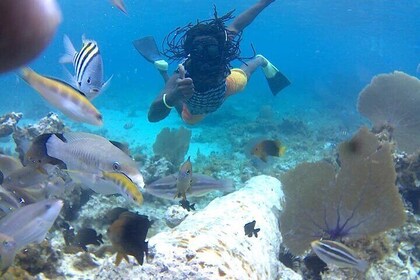 Incredible Negril Guided Reef Snorkelling To An Anchor and Cannon