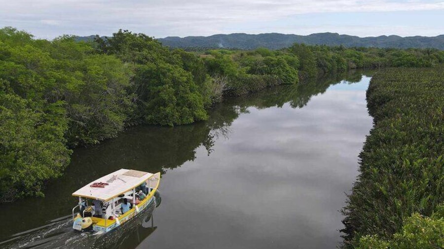 Scenic & Historical Nature Boat Safari Up the Negril River