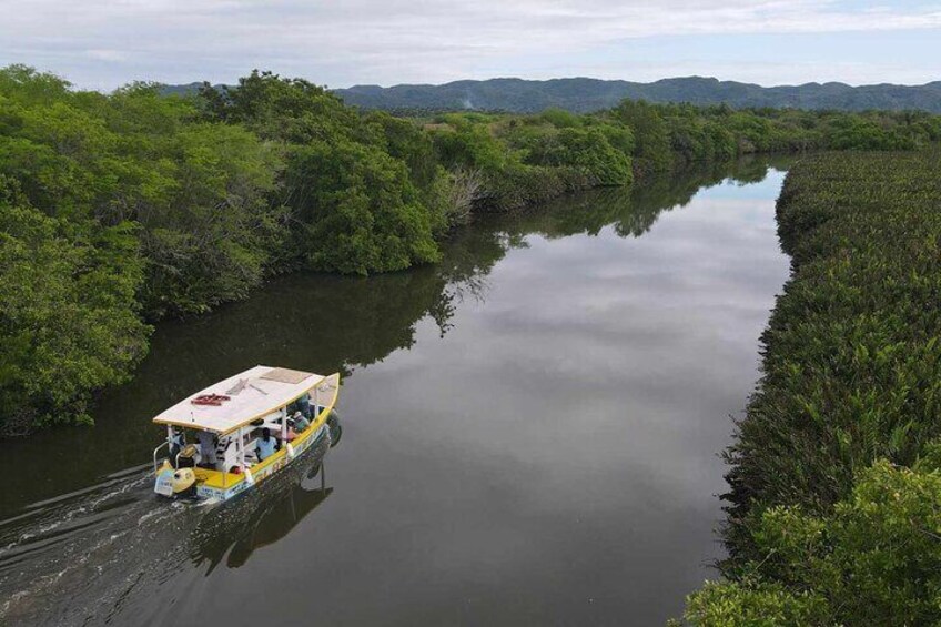 Scenic & Historical Nature Boat Safari Up the Negril River