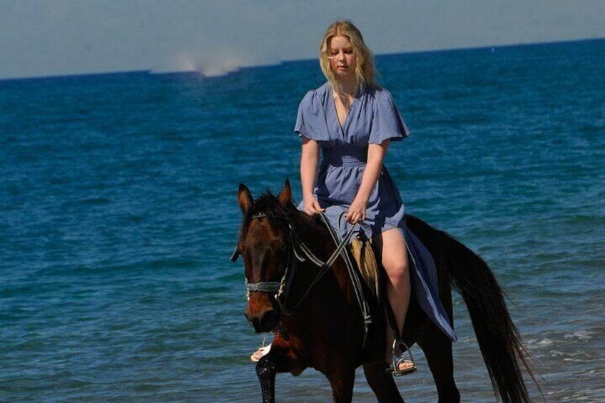 Horseback Riding by Beach or Forest in Manavgat