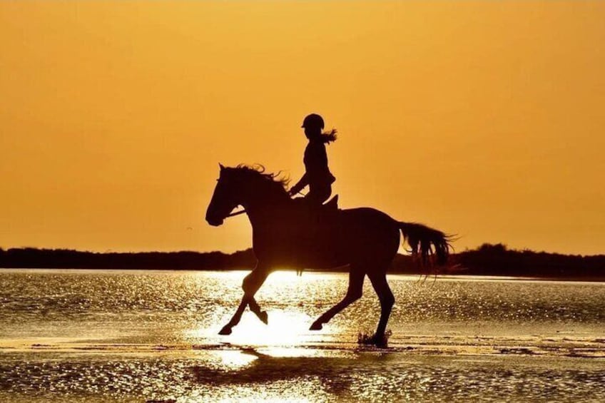 Horseback Riding by Beach or Forest in Manavgat Side