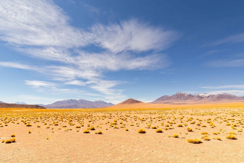 Picture 18 for Activity Uyuni: 3 day-tour, salt flats & surrealistic deserts