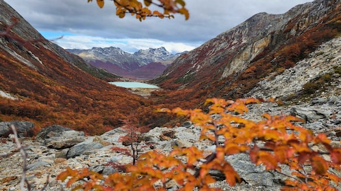 Private Guided Day Hike to Glacier Ojo del Albino