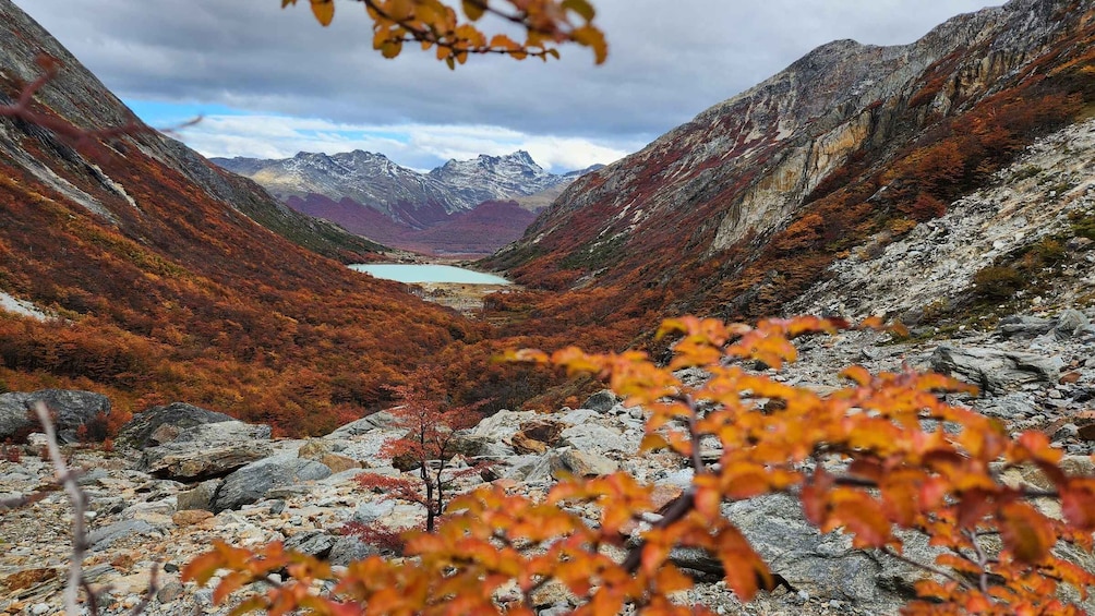 Private Guided Day Hike to Glacier Ojo del Albino