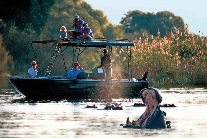 From Livingstone: Victoria Falls River Safari