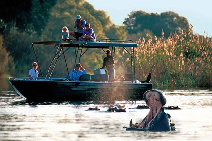 Von Livingstone aus: Victoria Falls River Safari