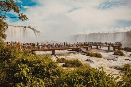 Immersive Iguazú Falls In One Day: Guided Walk, Train Ride & Boat