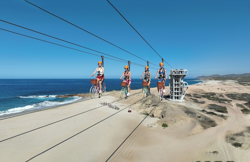 Combo All Attractions With Transportations