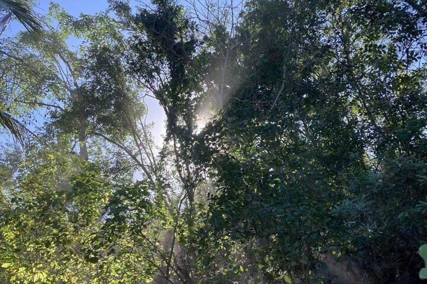 Boat Excursion and Hiking Walk in Quimixto